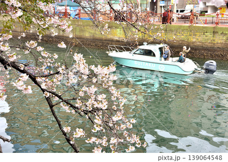 横浜大岡川で水上タクシーで花見をする人 横浜大岡川で水上タクシーで花見をする人 139064548