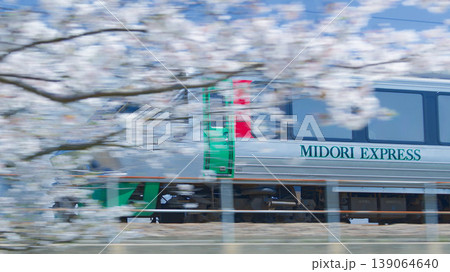 満開の桜の中を駆け抜けるJR九州の特急みどり 満開の桜の中を駆け抜けるJR九州の特急みどり 139064640