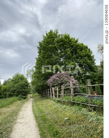 Pathway through lush countryside with wooden fence and spring foliage under cloudy sky background 139064698