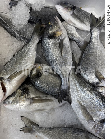 Fresh fish on ice at seafood market showcasing variety of species for sale and culinary use Fresh fish on ice at seafood market showcasing variety of species for sale and culinary use 139064716