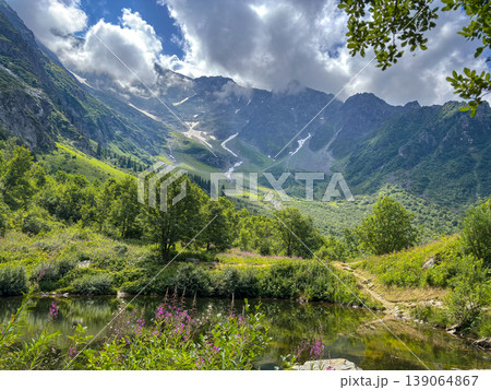Alpine valley with lake and flowers in Les Contamines-Montjoie, France 139064867