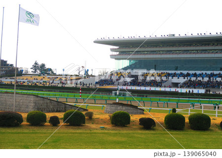 中山競馬場の風景 139065040
