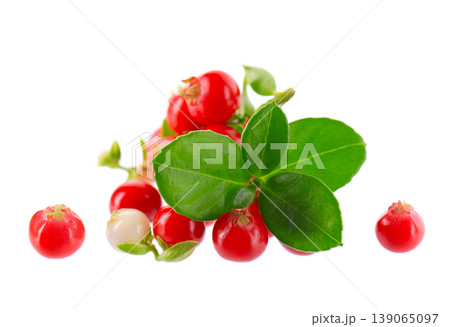 Fresh cowberry berries with leaves, isolated on white background. Ripe cranberry, cowberry, lingonberry. Clipping path. Fresh cowberry berries with leaves, isolated on white background. Ripe cranberry, cowberry, lingonberry. Clipping path. 139065097