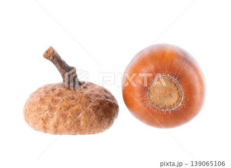 Acorn oak isolated on white background. Ripe brown acorn. Clipping path. Acorn oak isolated on white background. Ripe brown acorn. Clipping path. 139065106
