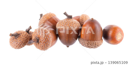 Acorn oak isolated on white background. Ripe brown acorns. Clipping path. 139065109