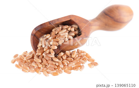 Organic peeled spelt grains isolated on white background. Triticum spelta or dark wheat in wooden spoon. Clipping path. 139065110