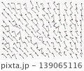 錆びた釘の乱立 139065116