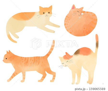 可愛い猫の水彩風セットイラスト 丸まって眠る茶トラ・歩く茶トラ リラックスした茶白猫・伸びをする三毛 可愛い猫の水彩風セットイラスト 丸まって眠る茶トラ・歩く茶トラ リラックスした茶白猫・伸びをする三毛 139065389