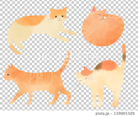 可愛い猫の水彩風セットイラスト 丸まって眠る茶トラ・歩く茶トラ リラックスした茶白猫・伸びをする三毛 可愛い猫の水彩風セットイラスト 丸まって眠る茶トラ・歩く茶トラ リラックスした茶白猫・伸びをする三毛 139065389
