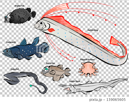 一組水彩風格的經典深海魚類插圖。 一組水彩風格的經典深海魚類插圖。 139065605