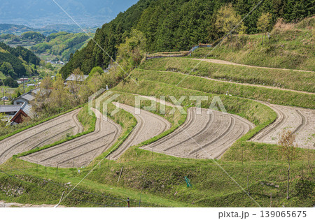 明日香村の絶景スポット　上（かむら）の棚田　奈良県高市郡 139065675