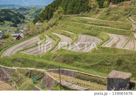 明日香村の絶景スポット　上（かむら）の棚田　奈良県高市郡 139065676