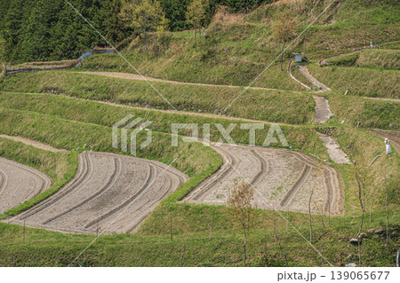 明日香村の絶景スポット　上（かむら）の棚田　奈良県高市郡 139065677