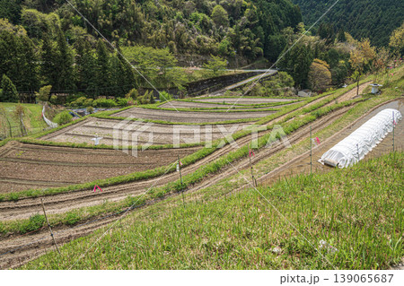 明日香村の絶景スポット　上（かむら）の棚田　奈良県高市郡 139065687