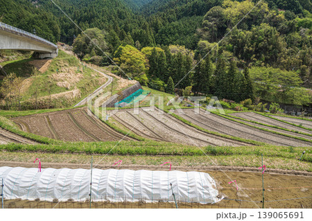 明日香村の絶景スポット　上（かむら）の棚田　奈良県高市郡 139065691
