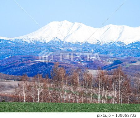冠雪残るオプタテシケと春の北海道美瑛町の丘の上から見た風景 139065732