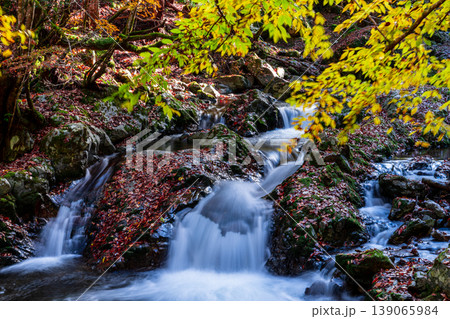 晩秋の赤西渓谷の風景27　兵庫県宍粟市 139065984