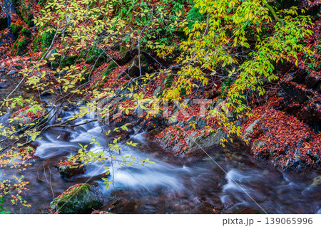 晩秋の赤西渓谷の風景38　兵庫県宍粟市 139065996