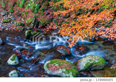 晩秋の赤西渓谷の風景15 兵庫県宍粟市 晩秋の赤西渓谷の風景15 兵庫県宍粟市 139066005