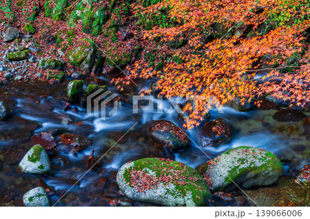 晩秋の赤西渓谷の風景16 兵庫県宍粟市 晩秋の赤西渓谷の風景16 兵庫県宍粟市 139066006