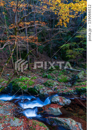 晩秋の赤西渓谷の風景21 兵庫県宍粟市 晩秋の赤西渓谷の風景21 兵庫県宍粟市 139066012