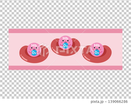 Hemoglobin 3, which carries small amounts of oxygen. 139066286