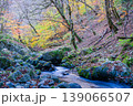晩秋の音水渓谷の風景　渓流と紅葉7　兵庫県宍粟市 139066507