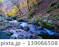 晩秋の音水渓谷の風景　渓流と紅葉1　兵庫県宍粟市 139066508