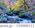 晩秋の音水渓谷の風景　渓流と紅葉4　兵庫県宍粟市 139066511