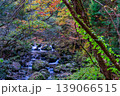 晩秋の音水渓谷の風景　渓流と紅葉3　兵庫県宍粟市 139066515