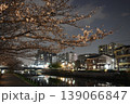 夜桜　川岸　新川　 139066847