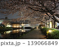 夜桜　川岸　新川　 139066849