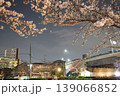 夜桜　川岸　新川　 139066852