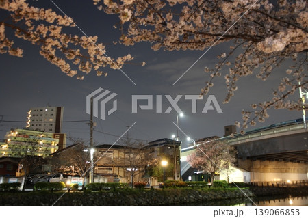 夜桜 川岸 新川 夜桜 川岸 新川 139066853