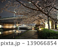 夜桜　川岸　新川　 139066854