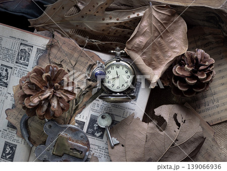 Time stands still in this collection of relics. A vintage watch sits amidst the fragile remains of nature dried leaves and pine cones scattered over layers of old music and newsprint. It is a compact, 139066936