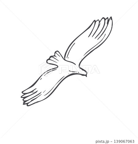 Eagle flying with wings spread wide vector isolated black line illustration. Hand drawn bird soaring in air. Minimalist ink sketch representing freedom, wild nature, strength, power and avian symbol. Eagle flying with wings spread wide vector isolated black line illustration. Hand drawn bird soaring in air. Minimalist ink sketch representing freedom, wild nature, strength, power and avian symbol. 139067063