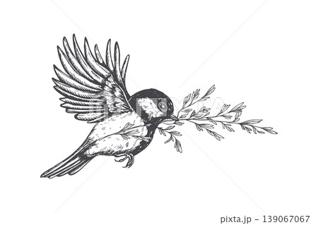 Flying bird holding plant branch in beak vector isolated illustration painted by black inks. Hand drawn sketch of chickadee for nature design. Wildlife, ecology, environment concept for decor Flying bird holding plant branch in beak vector isolated illustration painted by black inks. Hand drawn sketch of chickadee for nature design. Wildlife, ecology, environment concept for decor 139067067