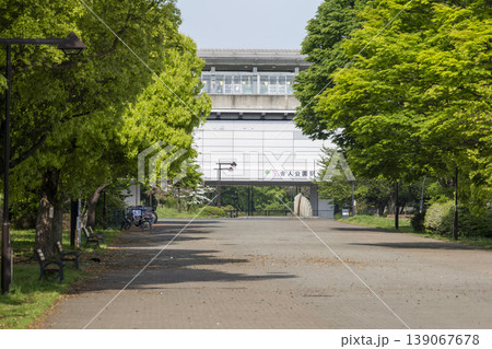新緑が美しい　舎人公園の風景　東京都足立区　4月中旬 139067678
