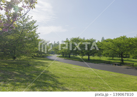 新緑が美しい　舎人公園の風景　東京都足立区　4月中旬 139067810