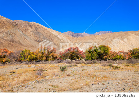 Ishkoshim village landscape in Pamir Region in Tajikistan 139068268