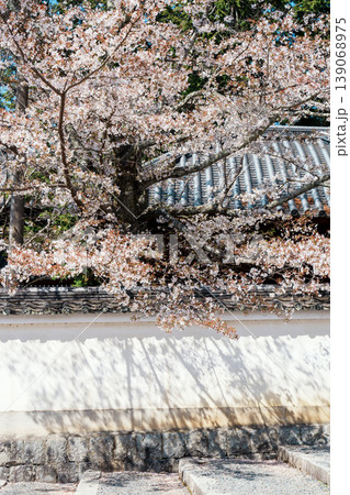 京都 南禅寺の桜 京都 南禅寺の桜 139068975