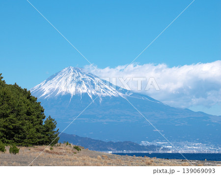 三保松原から富士山を望む 139069093