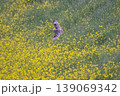 コミミズク 139069342