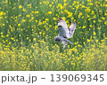 コミミズク 139069345