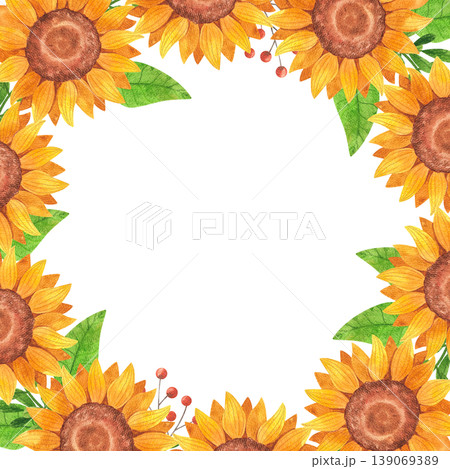 Bright sunflowers, isolated watercolor square frame. Summer yellow flowers hand drawn. Wildflower illustration in a simple, colorful style. Template with empty space for text. Bright sunflowers, isolated watercolor square frame. Summer yellow flowers hand drawn. Wildflower illustration in a simple, colorful style. Template with empty space for text. 139069389