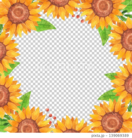 Bright sunflowers, isolated watercolor square frame. Summer yellow flowers hand drawn. Wildflower illustration in a simple, colorful style. Template with empty space for text. Bright sunflowers, isolated watercolor square frame. Summer yellow flowers hand drawn. Wildflower illustration in a simple, colorful style. Template with empty space for text. 139069389