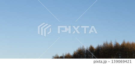 Minimalist daytime landscape with forest and visible moon 139069421