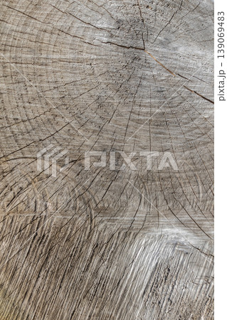 Felled tree stump with uneven textured wood surface and visible tree rings and cracks, vertical format Felled tree stump with uneven textured wood surface and visible tree rings and cracks, vertical format 139069483