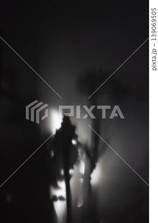Flower shadows on white wall vertical background Flower shadows on white wall vertical background 139069505
